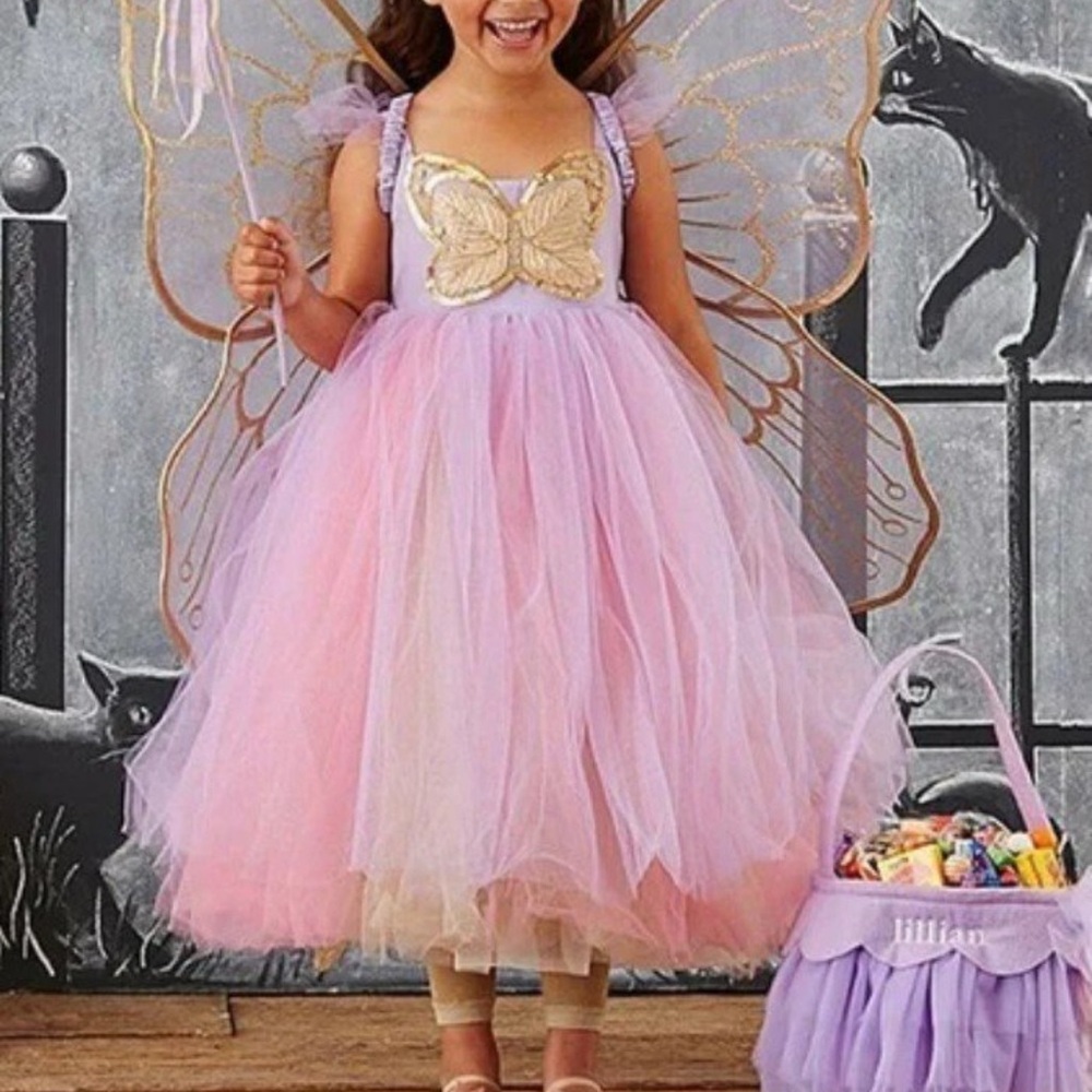 Pottery Barn Kids Pink and Gold Fairy Costume
